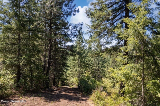NKA Highway 97, Harrison, ID 83833