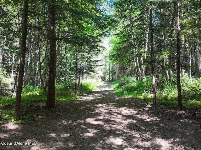 NKA Highway 97, Harrison, ID 83833