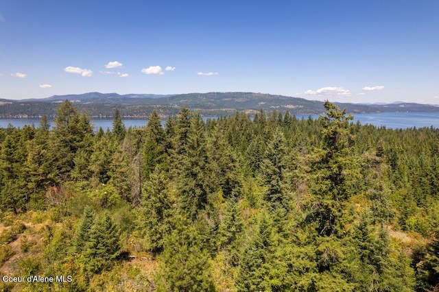 NKA Highway 97, Harrison, ID 83833