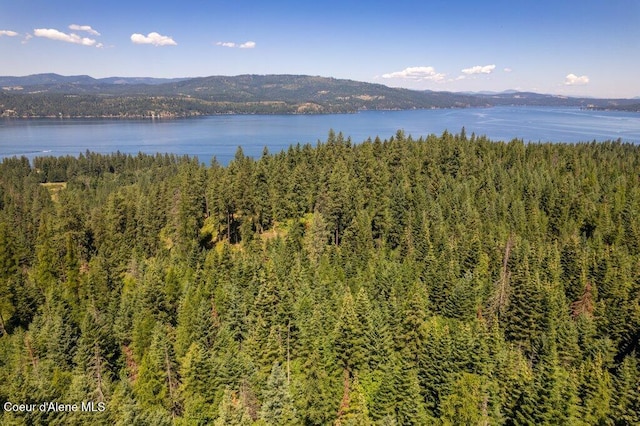NKA Highway 97, Harrison, ID 83833