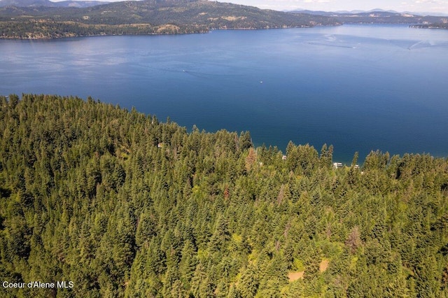 NKA Highway 97, Harrison, ID 83833