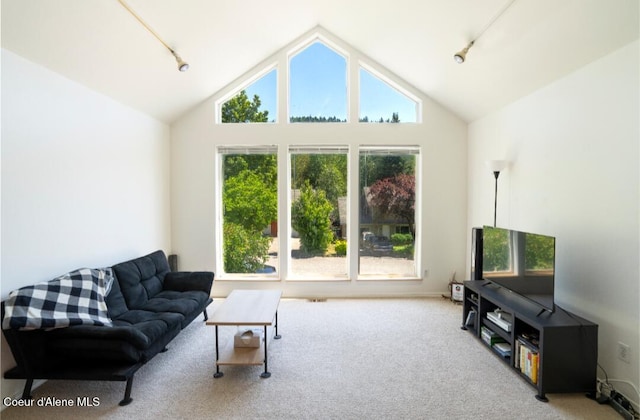 2015 N 13th St, Coeur Dalene, ID 83814 - living room with track lighting, carpet, plenty of natural light, and high vaulted ceiling