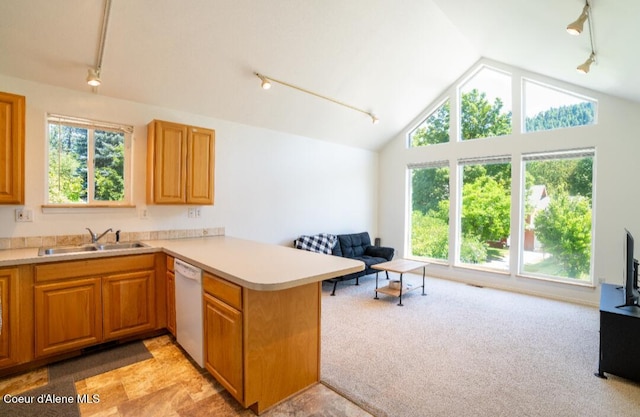 2015 N 13th St, Coeur Dalene, ID 83814 - kitchen featuring rail lighting, dishwasher, a peninsula, lofted ceiling, and light countertops