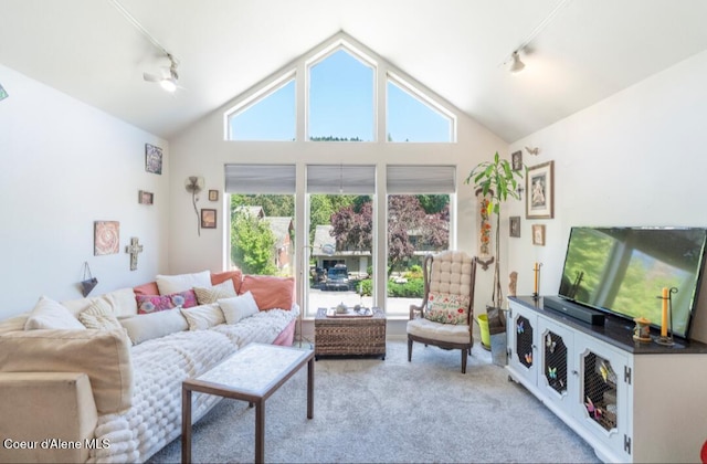 2015 N 13th St, Coeur Dalene, ID 83814 - living room with rail lighting, carpet floors, and vaulted ceiling
