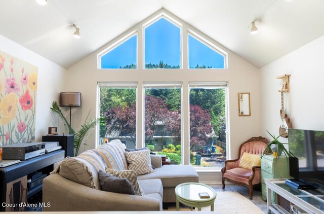 2015 N 13th St, Coeur Dalene, ID 83814 - living room with track lighting and lofted ceiling