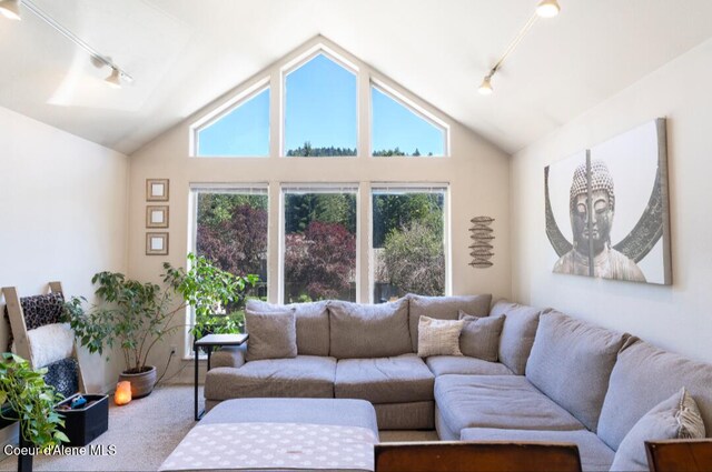 2015 N 13th St, Coeur Dalene, ID 83814 - carpeted living room with track lighting, vaulted ceiling, and plenty of natural light