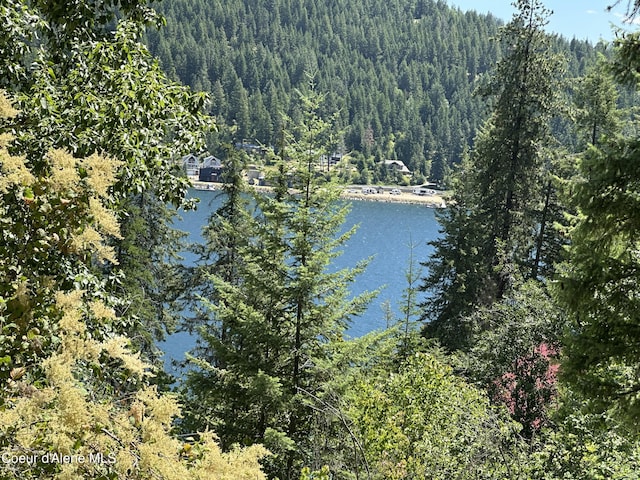 NKA Midas Drive, Sagle, ID 83860 - photo 2
