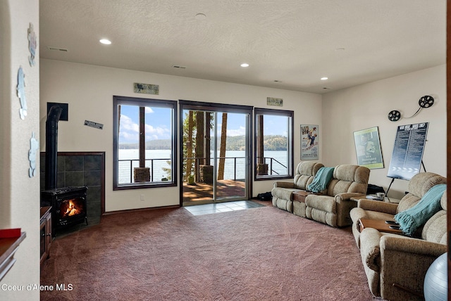 7404 S Panorama View Dr, Harrison, ID 83833 - photo 45