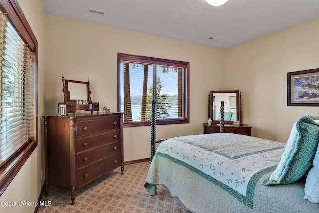 7404 S Panorama View Dr, Harrison, ID 83833 - photo 49