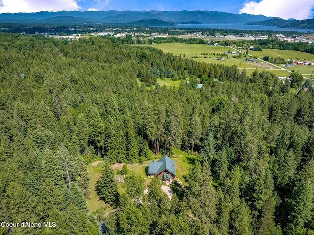 1198 Mountain View Dr, Sandpoint, ID 83864 - photo 2