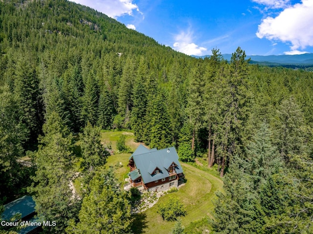 1198 Mountain View Dr, Sandpoint, ID 83864 - photo 64