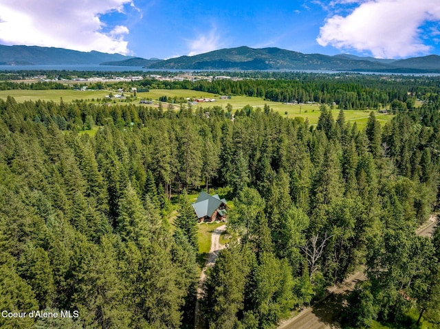 1198 Mountain View Dr, Sandpoint, ID 83864 - photo 78