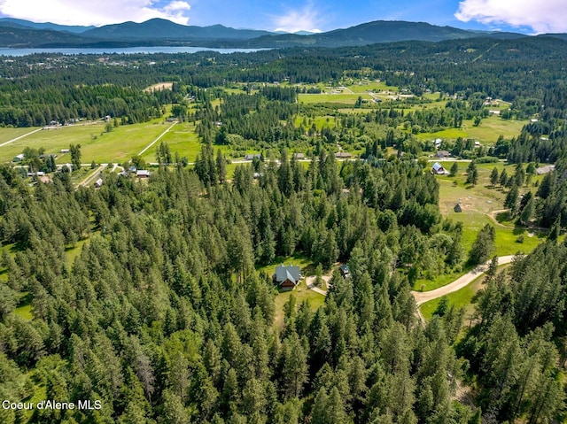 1198 Mountain View Dr, Sandpoint, ID 83864 - photo 79