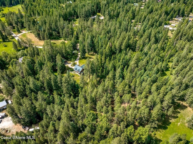 1198 Mountain View Dr, Sandpoint, ID 83864 - photo 80