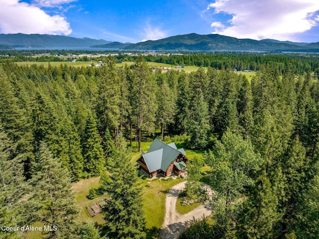 1198 Mountain View Dr, Sandpoint, ID 83864 - photo 81