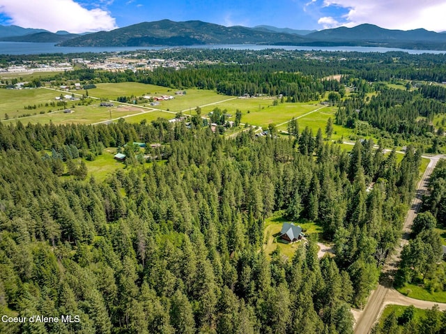1198 Mountain View Dr, Sandpoint, ID 83864 - photo 82