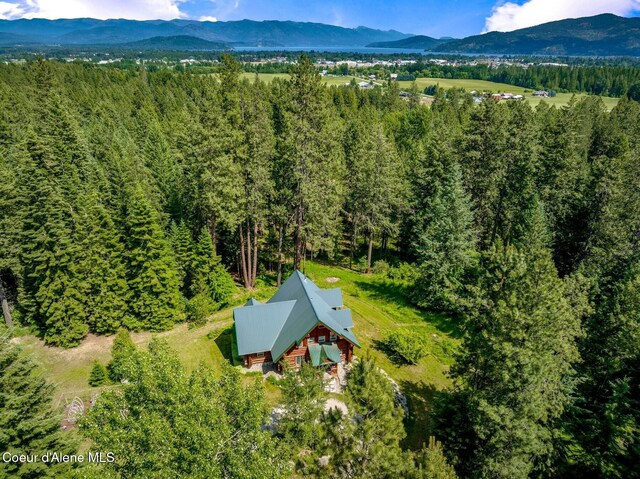1198 Mountain View Dr, Sandpoint, ID 83864 - photo 83