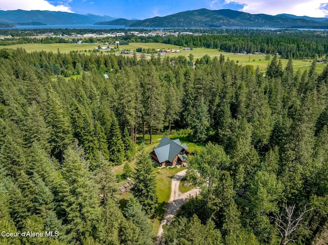 1198 Mountain View Dr, Sandpoint, ID 83864 - photo 85