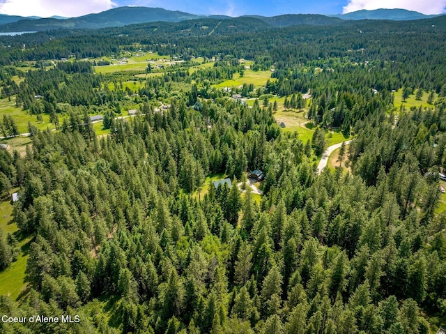 1198 Mountain View Dr, Sandpoint, ID 83864 - photo 86