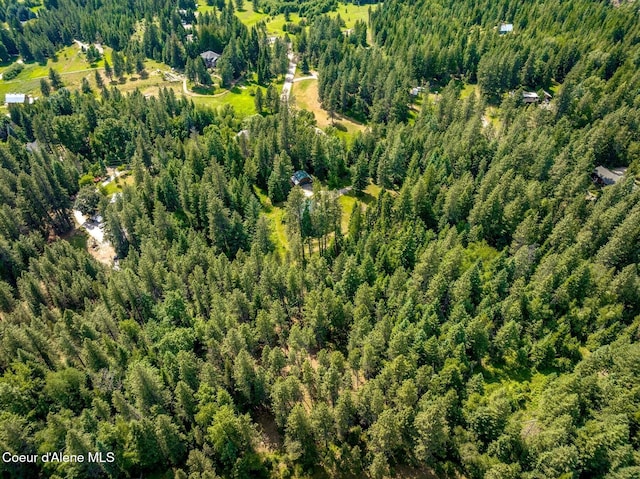 1198 Mountain View Dr, Sandpoint, ID 83864 - photo 88