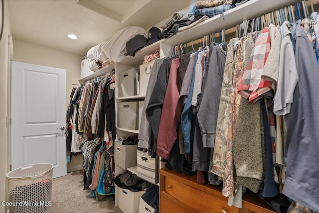 12671 E Trout Pond Rd, Athol, ID 83801 - walk in closet with carpet and attic access