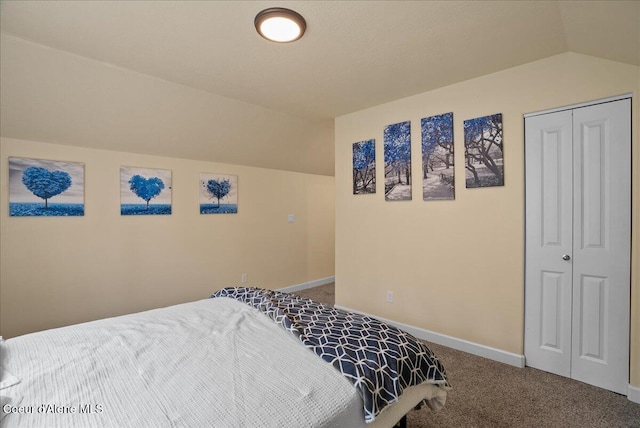 12671 E Trout Pond Rd, Athol, ID 83801 - bedroom with vaulted ceiling, carpet, and a closet