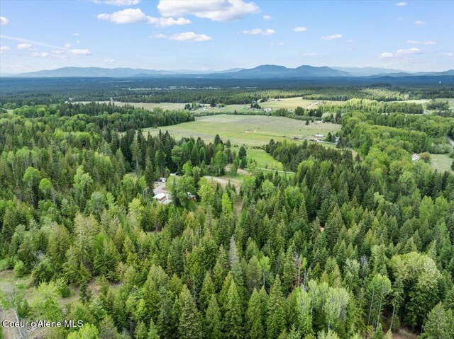 12671 E Trout Pond Rd, Athol, ID 83801 - bird's eye view of mountains