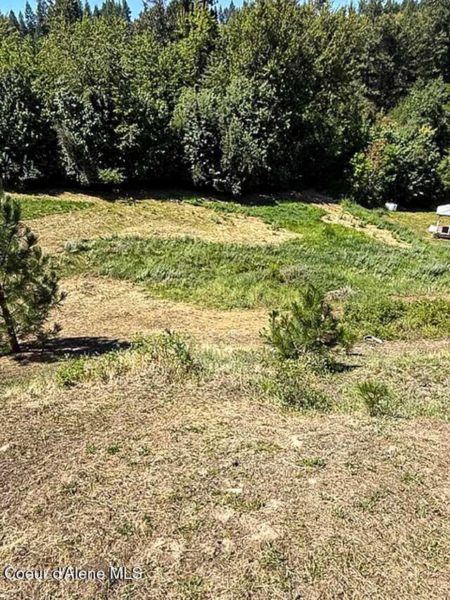 6855 Cemetery C Rd, Bonners Ferry, ID 83805 - photo 3