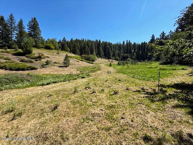 6855 Cemetery C Rd, Bonners Ferry, ID 83805 - photo 8