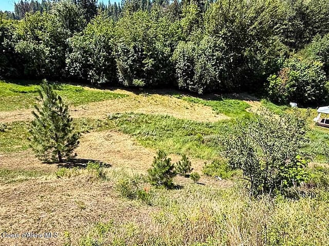 6855 Cemetery C Rd, Bonners Ferry, ID 83805 - photo 12