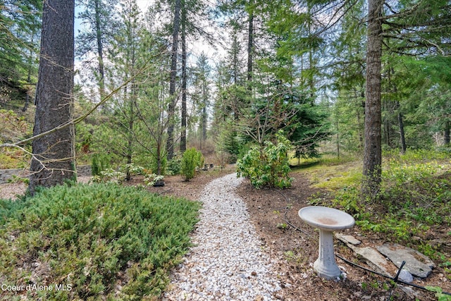 23388 N Teddy Loop, Rathdrum, ID 83858 - view of yard