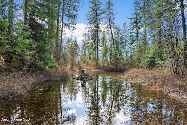 23388 N Teddy Loop, Rathdrum, ID 83858 - water view