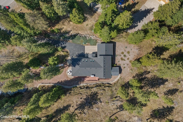 23388 N Teddy Loop, Rathdrum, ID 83858 - aerial view of property and surrounding area
