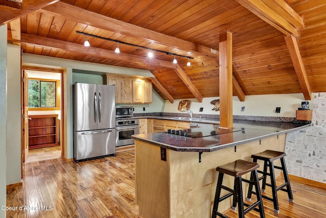 30553 N Stampede Rd, Athol, ID 83801 - kitchen with stainless steel appliances, track lighting, wood ceiling, a peninsula, and light wood-type flooring