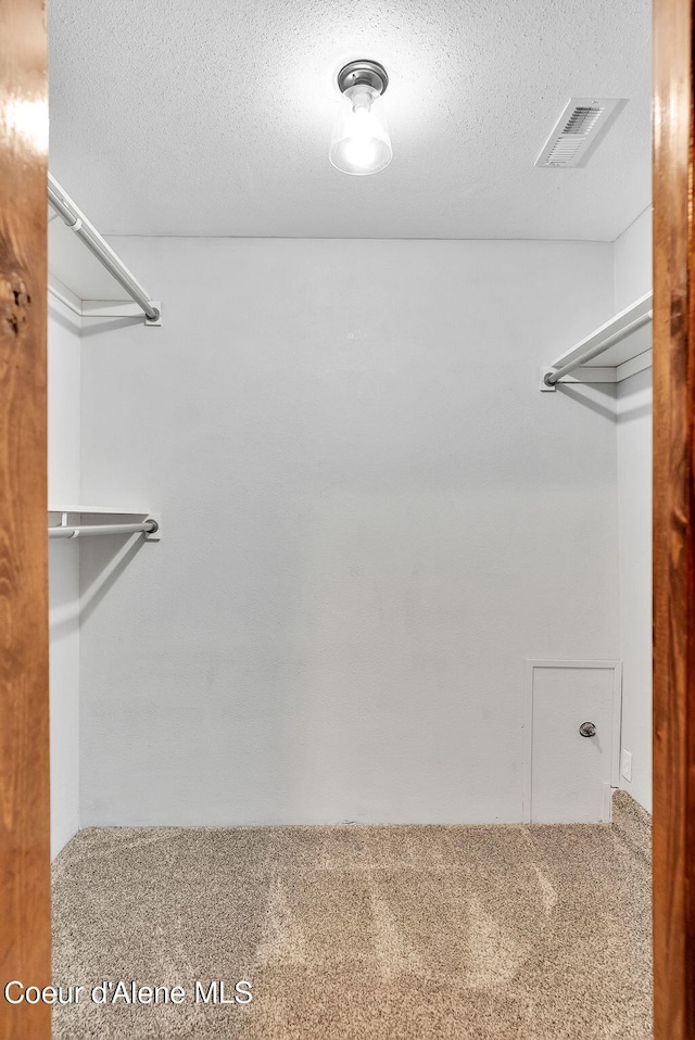 30553 N Stampede Rd, Athol, ID 83801 - walk in closet featuring carpet