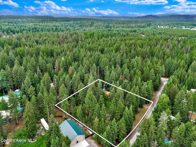 30553 N Stampede Rd, Athol, ID 83801 - aerial overview of property's location with a heavily wooded area and property boundaries highlighted