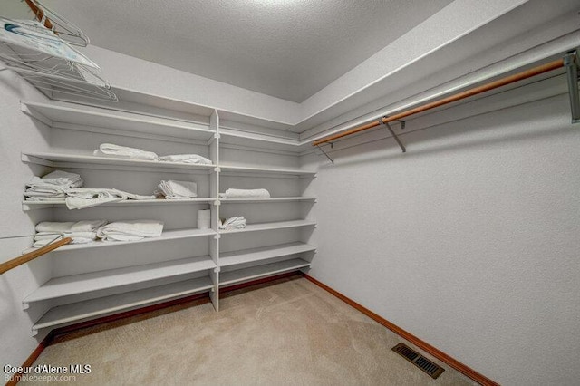9218 W Rockford Bay Rd, Coeur Dalene, ID 83814 - walk in closet with carpet