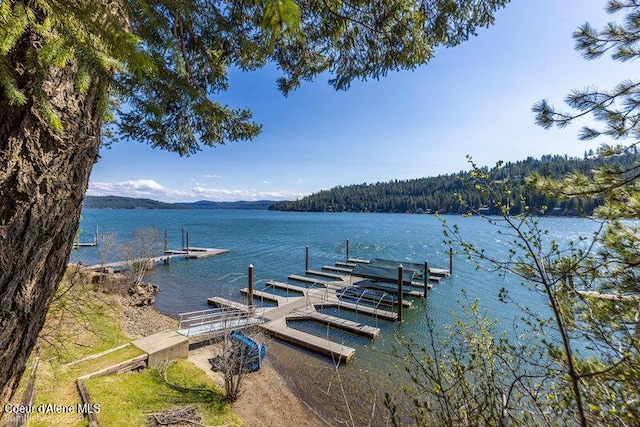 9218 W Rockford Bay Rd, Coeur Dalene, ID 83814 - dock area with a water view and a wooded view