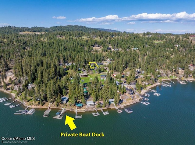 9218 W Rockford Bay Rd, Coeur Dalene, ID 83814 - aerial view of property and surrounding area featuring a heavily wooded area and a large body of water