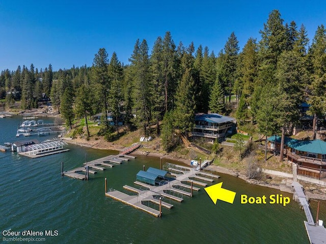 9218 W Rockford Bay Rd, Coeur Dalene, ID 83814 - bird's eye view of a nearby body of water and a forest