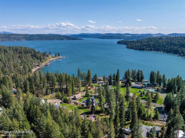 9218 W Rockford Bay Rd, Coeur Dalene, ID 83814 - bird's eye view of a forest and a water and mountain view