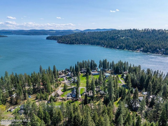 9218 W Rockford Bay Rd, Coeur Dalene, ID 83814 - aerial view of a forest and a nearby body of water