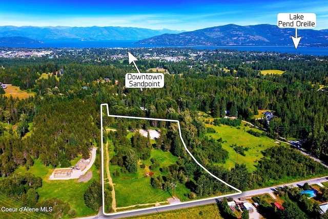 146 Parker Ln, Sandpoint, ID 83864 - photo 4