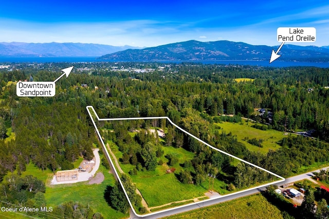 146 Parker Ln, Sandpoint, ID 83864 - photo 9