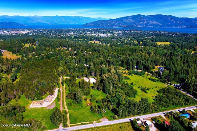 146 Parker Ln, Sandpoint, ID 83864 - photo 12