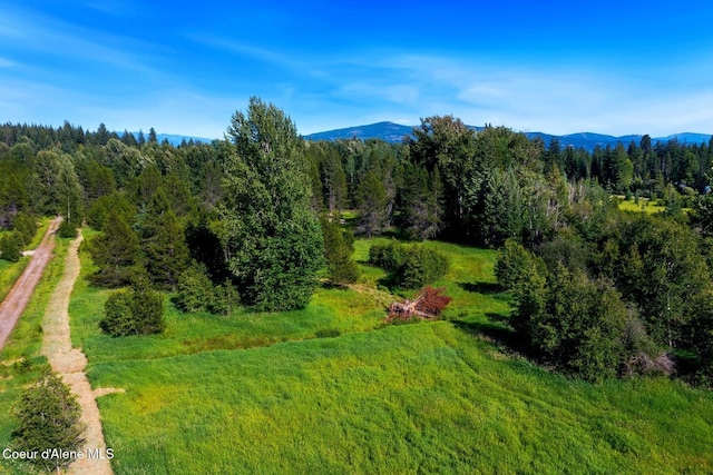146 Parker Ln, Sandpoint, ID 83864 - photo 13