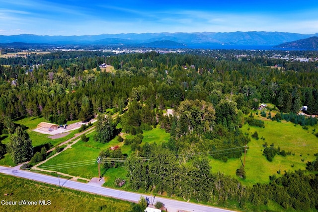 146 Parker Ln, Sandpoint, ID 83864 - photo 16