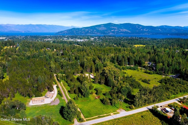 146 Parker Ln, Sandpoint, ID 83864 - photo 17