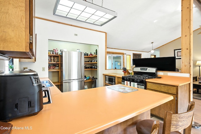 1655 Gun Club Rd, Sagle, ID 83860 - kitchen featuring stainless steel appliances, a peninsula, lofted ceiling, light countertops, and a breakfast bar