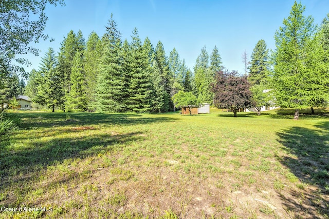 1655 Gun Club Rd, Sagle, ID 83860 - view of grassy yard featuring a storage shed